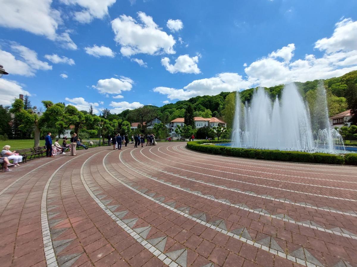 Aleks Sobe Hotel Banja Koviljaca Ngoại thất bức ảnh